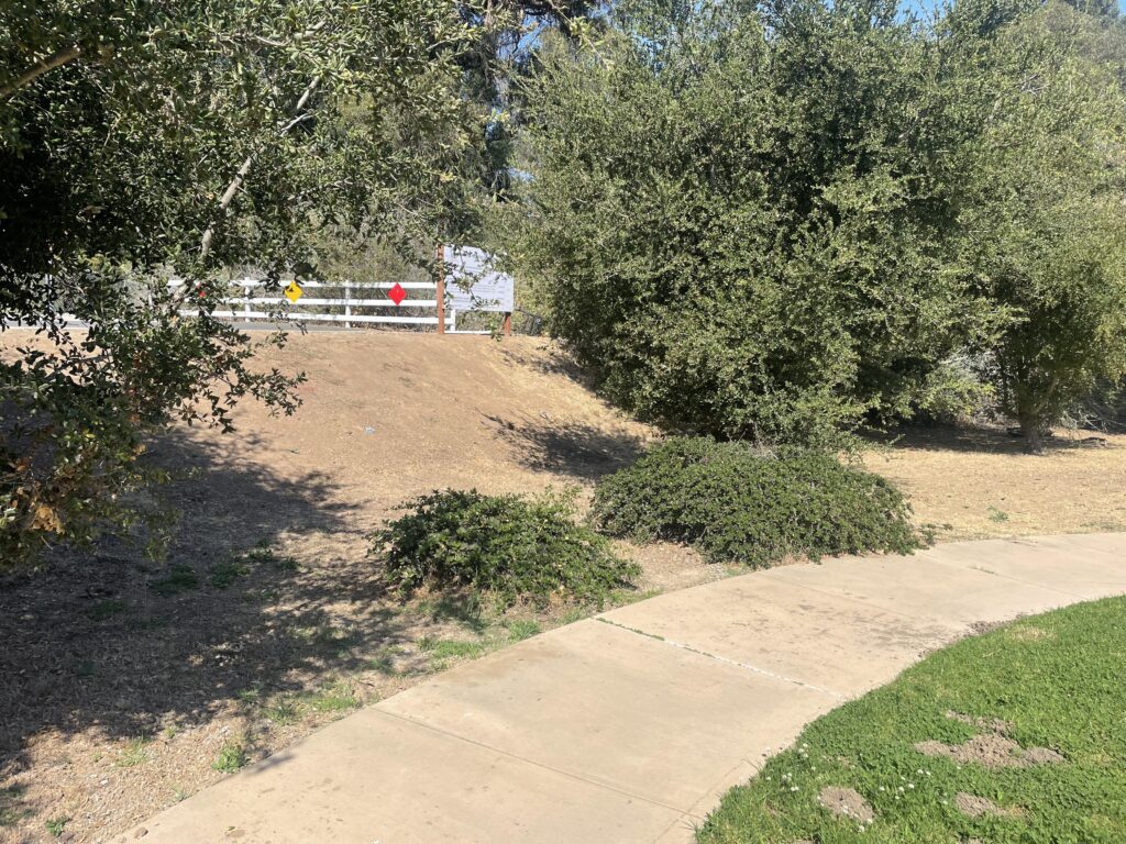 A dirt path next to some trees and bushes