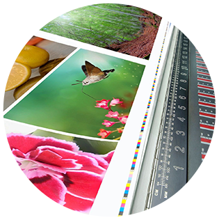 High-quality vinyl graphics services in Santa Barbara, CA for commercial and personal use