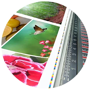 High-quality vinyl graphics services in Santa Barbara, CA for commercial and personal use